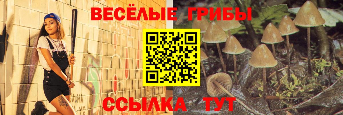 купить  цена  Вход с VPN  Кунгур  Галлюциногенные грибы MAGIC MUSHROOMS 